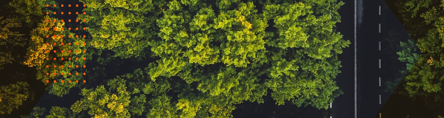 Trabajos de mantenimiento y arbolado